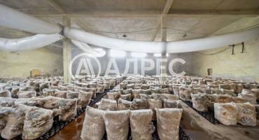 Цех/Склад, Плевен, Индустриална зона, 679398, Снимка 2