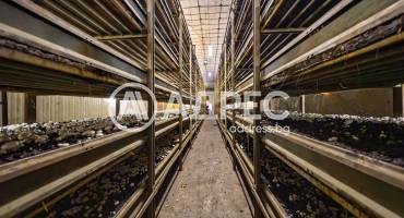 Цех/Склад, Плевен, Индустриална зона, 679398, Снимка 4