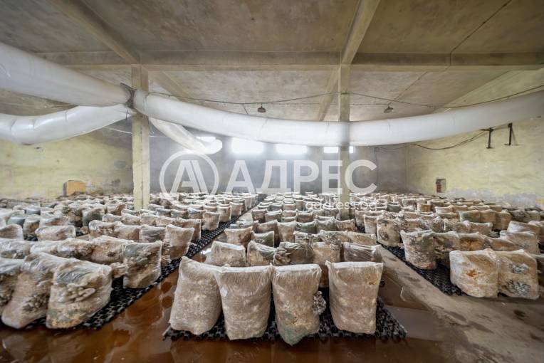 Цех/Склад, Плевен, Индустриална зона, 679398, Снимка 2