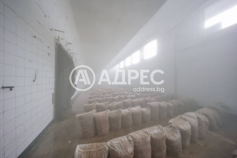 Цех/Склад, Плевен, Индустриална зона, 679398, Снимка 3