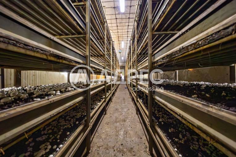 Цех/Склад, Плевен, Индустриална зона, 679398, Снимка 4