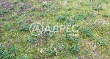 Парцел/Терен, Рила, 688399, Снимка 1