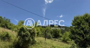 Парцел/Терен, Чифлик, 701403, Снимка 3