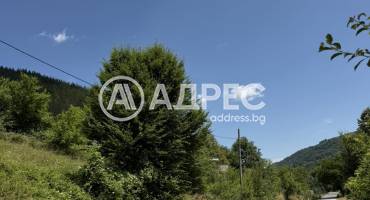 Парцел/Терен, Чифлик, 701403, Снимка 5