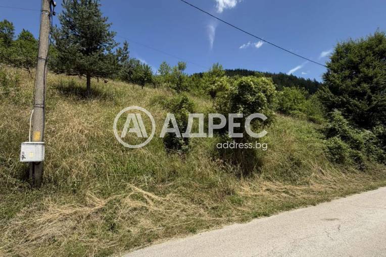 Парцел/Терен, Чифлик, 701403, Снимка 1