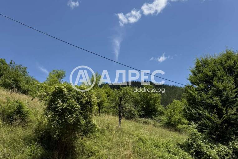 Парцел/Терен, Чифлик, 701403, Снимка 3