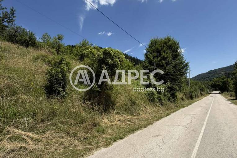 Парцел/Терен, Чифлик, 701403, Снимка 4