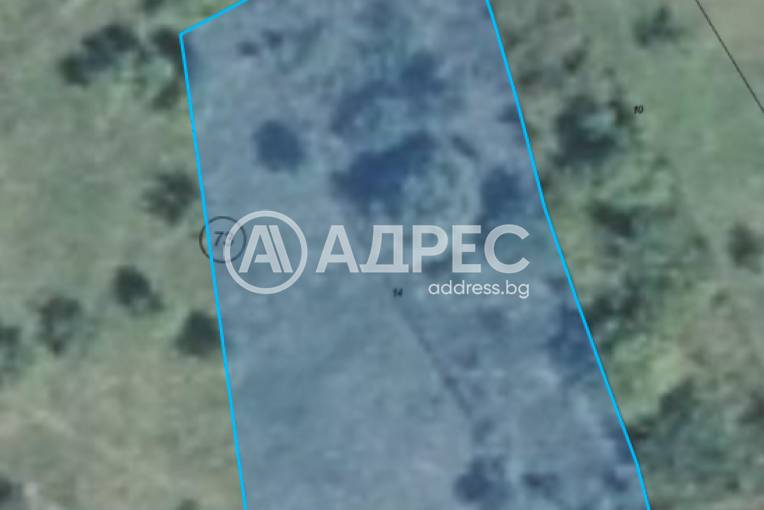 Парцел/Терен, Чифлик, 701403, Снимка 7