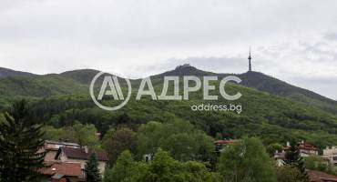Многостаен апартамент, София, Бояна, 666404, Снимка 14