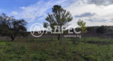 Стопанска сграда/Ферма, Водица, 667408, Снимка 4