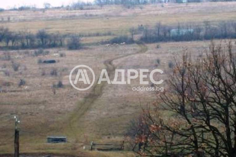 Земеделска земя, Арбанаси, 4412, Снимка 3