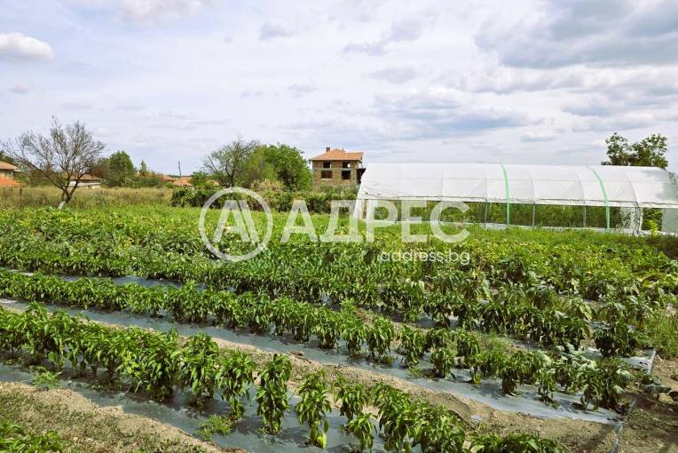 Къща/Вила, Ханово, 669412, Снимка 11