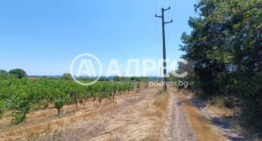 Парцел/Терен, Аврен, 661413, Снимка 3