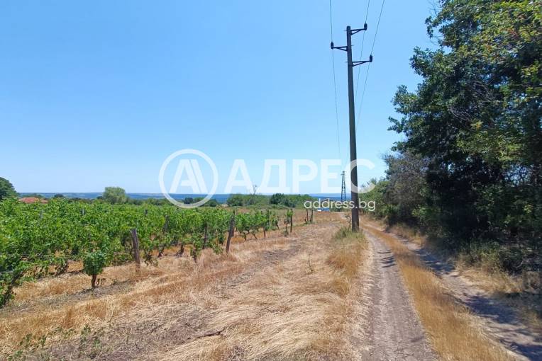 Парцел/Терен, Аврен, 661413, Снимка 3