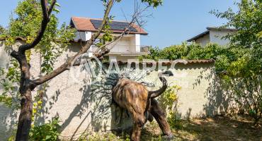 Къща/Вила, Варна, м-ст Евксиноград, 688420, Снимка 13