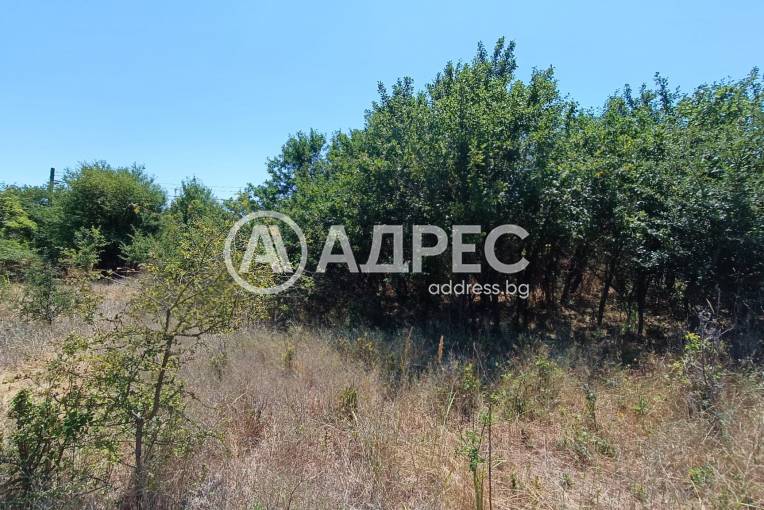 Парцел/Терен, Аврен, 661425, Снимка 3