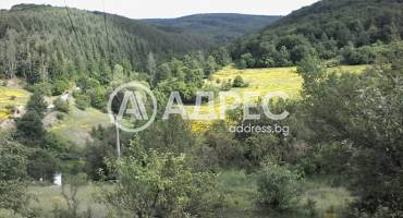 Парцел/Терен, Чибаовци, 698430, Снимка 2