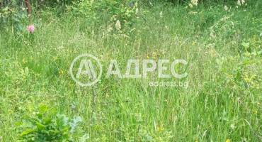 Парцел/Терен, Чибаовци, 698430, Снимка 5