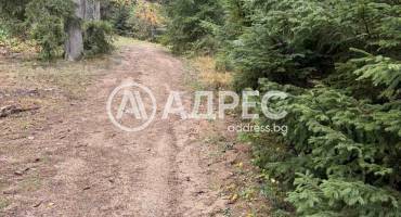 Парцел/Терен, Говедарци, 668432, Снимка 4