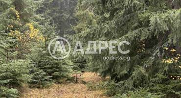 Парцел/Терен, Говедарци, 668432, Снимка 5