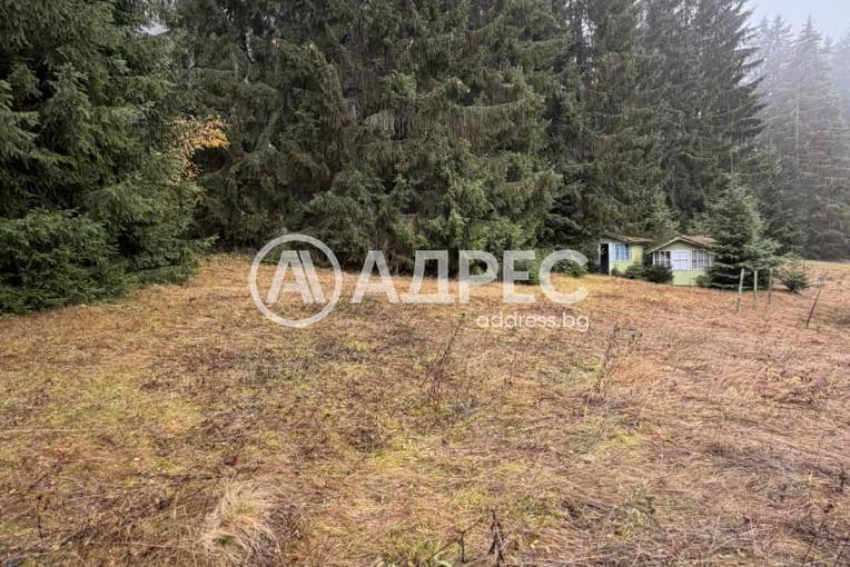 Парцел/Терен, Говедарци, 668432, Снимка 3