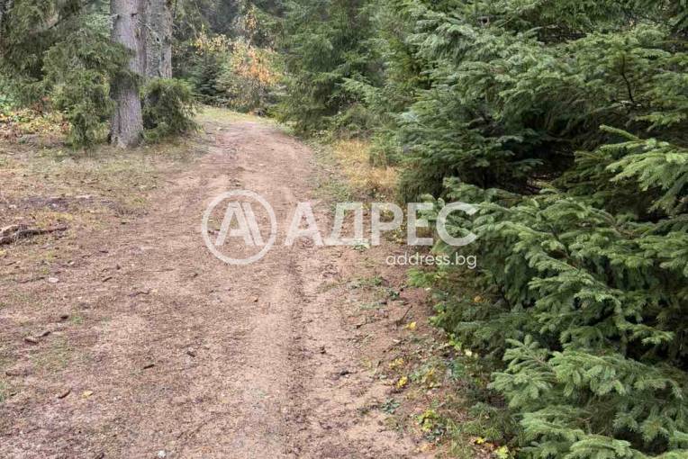 Парцел/Терен, Говедарци, 668432, Снимка 4