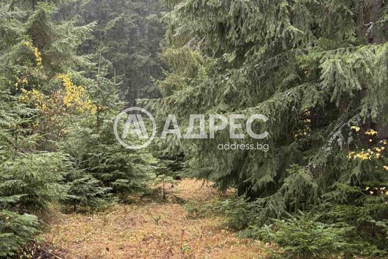 Парцел/Терен, Говедарци, 668432, Снимка 5