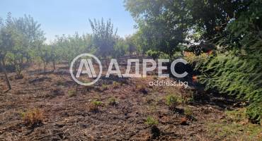 Къща/Вила, Миладиновци, 666436, Снимка 5