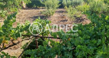 Къща/Вила, Миладиновци, 666436, Снимка 7