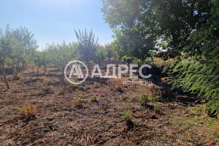 Къща/Вила, Миладиновци, 666436, Снимка 5