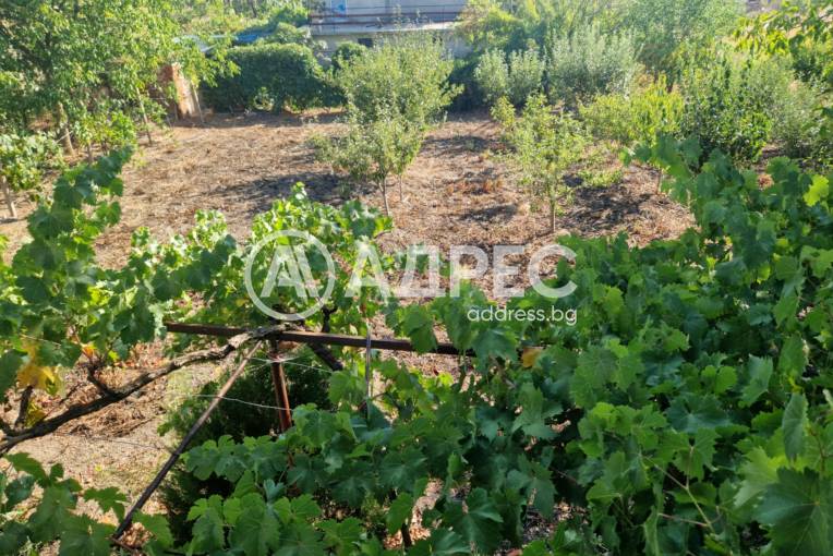 Къща/Вила, Миладиновци, 666436, Снимка 7