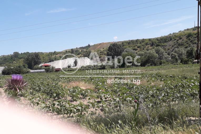 Земеделска земя, Бучино, 453441, Снимка 4