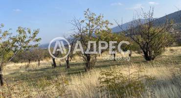 Земеделска земя, Брестник, 672441, Снимка 1