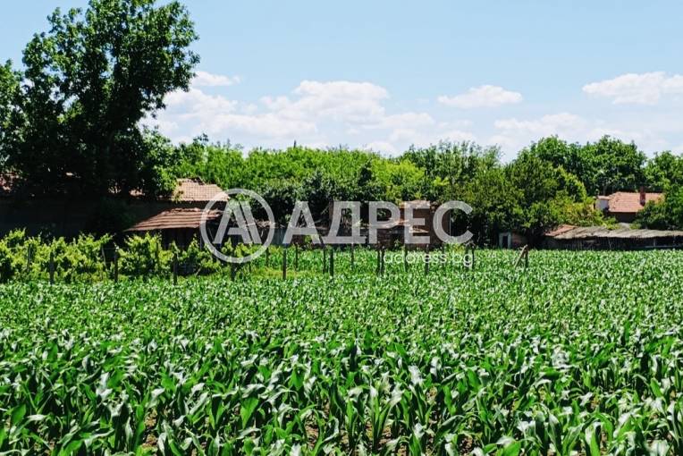 Парцел/Терен, Обнова, 689441, Снимка 2