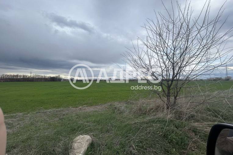 Земеделска земя, Браниполе, 656443, Снимка 3