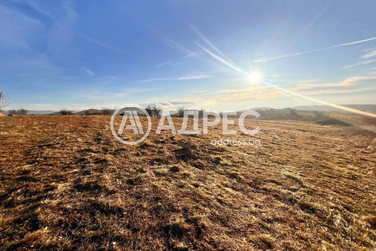 Парцел/Терен, Дъбрава, 692443, Снимка 6