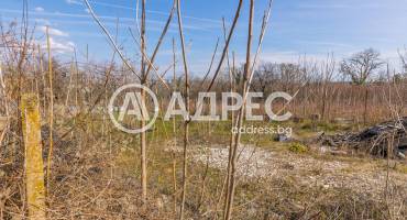 Къща/Вила, Плевен, Кайлъка, 689445, Снимка 3