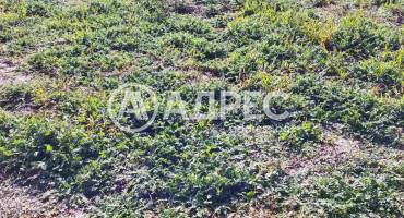 Къща/Вила, Благоевград, Изгрев, 673446, Снимка 18