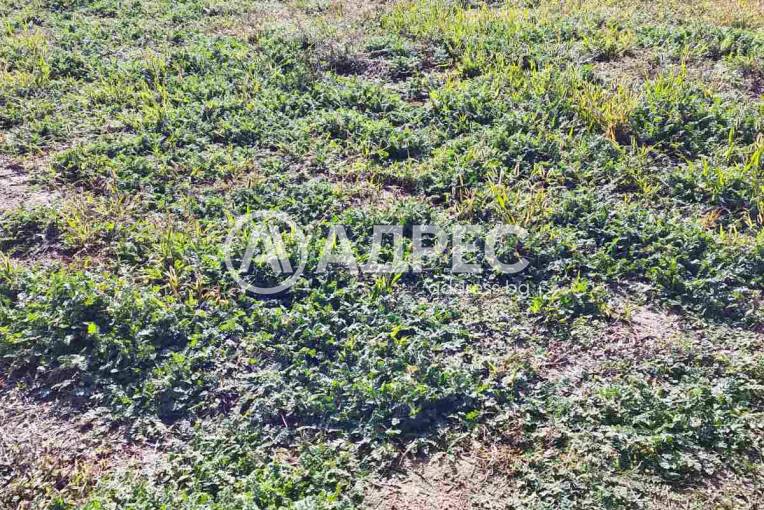 Къща/Вила, Благоевград, Изгрев, 673446, Снимка 18