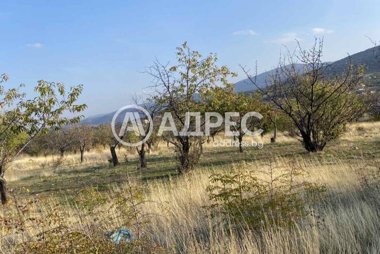 Земеделска земя, Брестник, 672450, Снимка 1