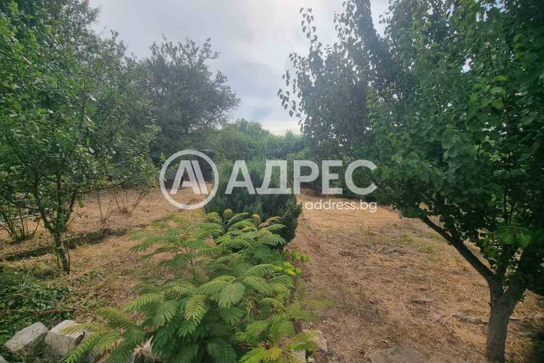 Къща/Вила, Брестовец, 662453, Снимка 3