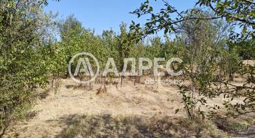 Парцел/Терен, Козарево, 665471, Снимка 2