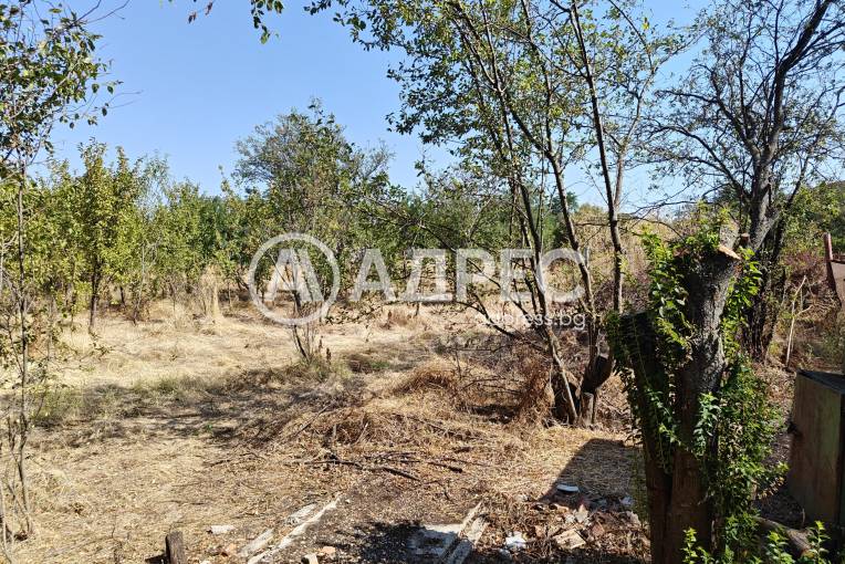 Парцел/Терен, Козарево, 665471, Снимка 1