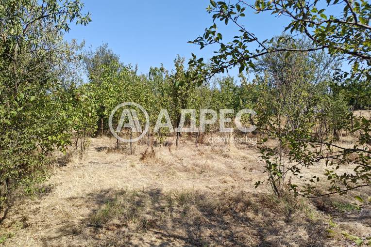 Парцел/Терен, Козарево, 665471, Снимка 2