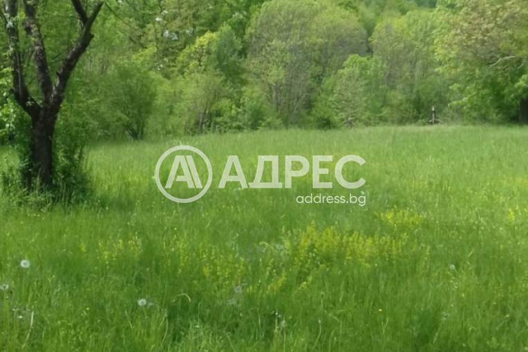 Парцел/Терен, Банкя, Банкя, 662476, Снимка 1