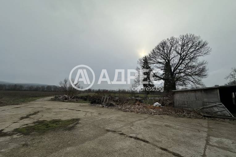 Цех/Склад, Кардам, 687479, Снимка 5