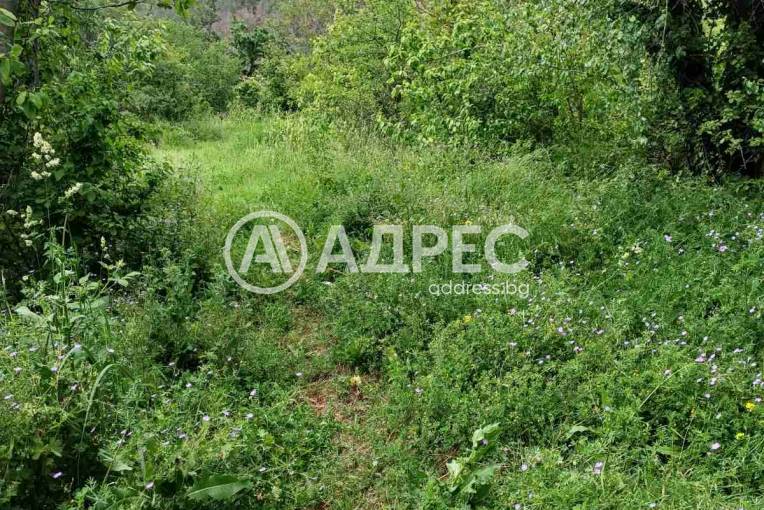 Парцел/Терен, Варна, м-ст Сълзица, 669488, Снимка 2