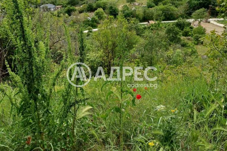 Парцел/Терен, Варна, м-ст Сълзица, 669488, Снимка 3