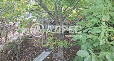 Къща/Вила, Орлово, 672491, Снимка 5