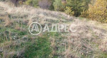 Земеделска земя, Покровник, 312492, Снимка 2